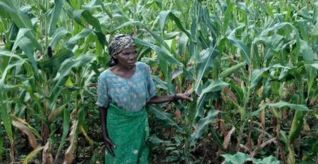 🌱 Strengthening families through reintegration & sustainable livelihoods